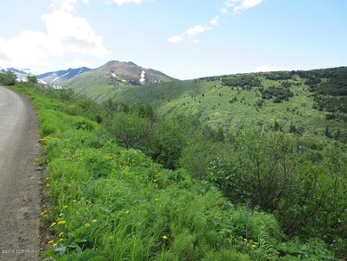 back valley