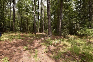 75116 Highway 41 Hwy, Talisheek, LA 70464 - photo 5