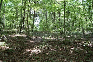 elk dr 3