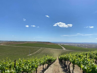 Ash Rd, Mesa, WA 99343 - photo 4