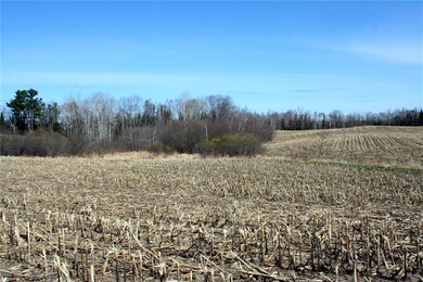 60 Acres Olesiak Rd, Weyerhaeuser, WI 54895 - photo 2