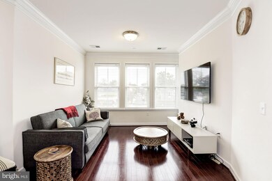 Dominion Heights unit 217, Arlington, VA 22207 - photo 7