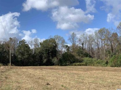 B tract State Highway 65 unit Lot 2, Conway, SC 29526 - photo 6