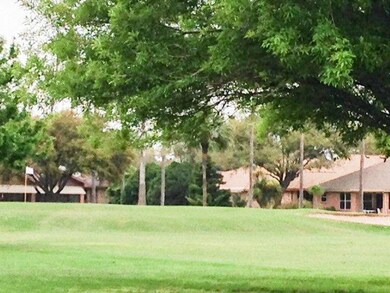 229 Karen Dr, Alamo, TX 78516 - photo 4