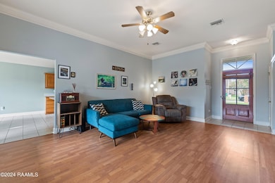 110TulipTree-10