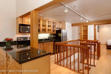 900 E Durant Ave unit B105, Aspen, CO 81611 - photo 5