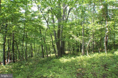 15.44 Acres High Knob Rd, Old Fields, WV 26845 - photo 6