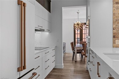 Kitchen featuring dark wood-style flooring, a chan