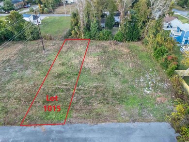 1015 Atlantic St, Atlantic Beach, SC 29582 - photo 3