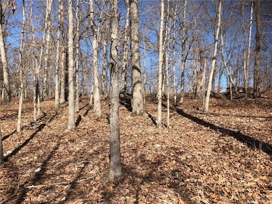 0 Hornsea Ln, Bella Vista, AR 72714 - photo 4