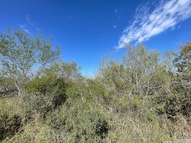 0 Cr 326 unit 1926969, Beeville, TX 78102 - photo 2