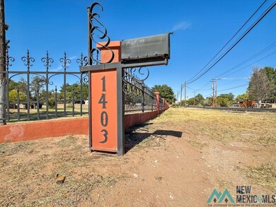 1403 & 1405 N Guadalupe St, Carlsbad, NM 88220 - photo 2