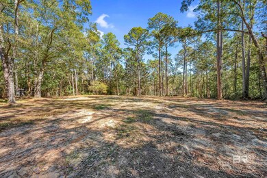 11010 Coleman Ln, Elberta, AL 36530 - photo 6