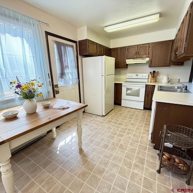 1021 W Denver Ave unit 4, Gunnison, CO 81230 - photo 4