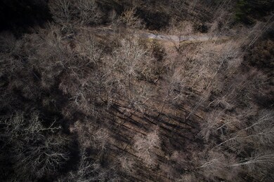 Lot 6A Freeman Overlook, Almond, NC 28702 - photo 5