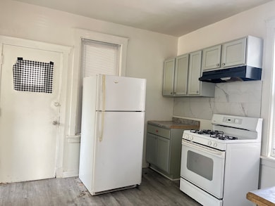 unlisted-address, Chicago, IL 60619 - photo 6