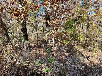 Lot 10 Eddy Ln, Bella Vista, AR 72715 - photo 3