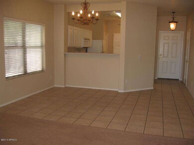 Lots of Neutral Tile