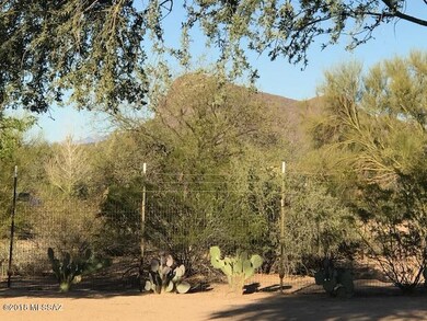 Mountain View Looking from Backyard