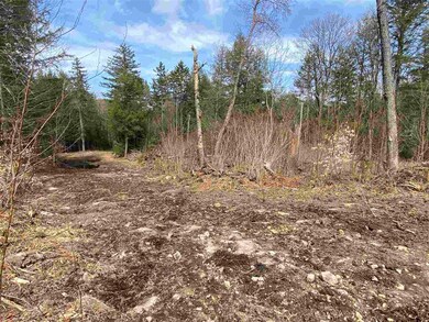 0 Cold River Rd unit M248 L 13-1, Acworth, NH 03601 - photo 5