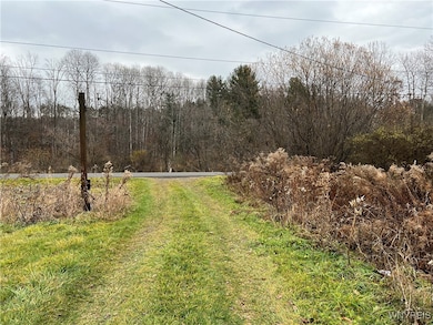 0 Feathers Creek Rd unit B1651106, Belmont, NY 14813 - photo 5