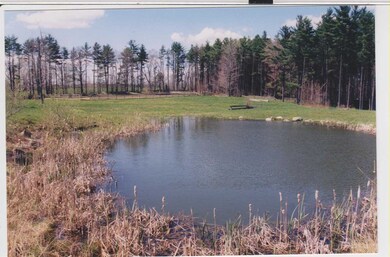 627 Haverhill Rd, Chester, NH 03036 - photo 7