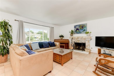 272 Village Run W, Encinitas, CA 92024 - photo 6