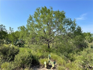 0 Cameron Ln, Fowlerton, TX 78021 - photo 7