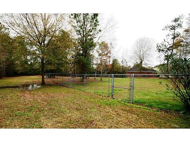 Yard/Garden.