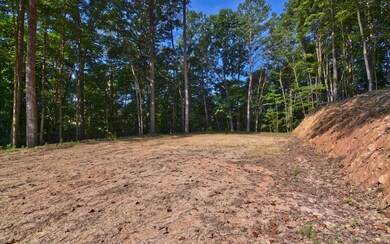 857 Mount Zion Rd, Ellijay, GA 30536 - photo 6