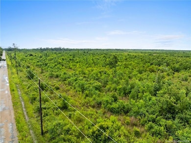 10 Abie Fontenot Rd, Iowa, LA 70647 - photo 5