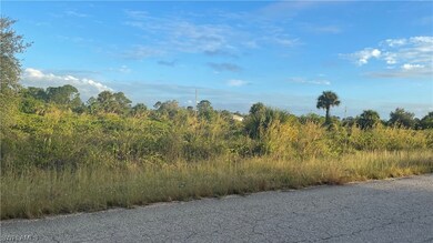 1249 Blaine Ave, Lehigh Acres, FL 33913 - photo 6