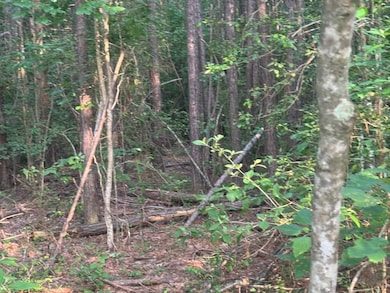 0 Columbia 17 unit 11529024, Stamps, AR 71860 - photo 3