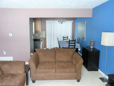 1098 Karen Dr, Akron, OH 44313 - photo 5