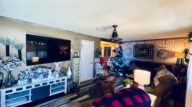 212 W Walnut St, Nixa, MO 65714 - photo 6