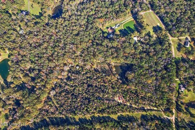 DJI_0331