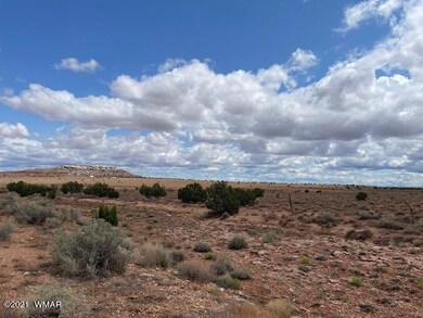 IMG_9834 (1)