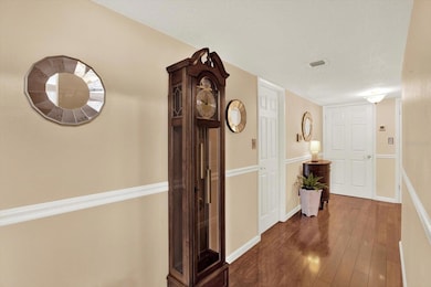 Hallway with a coat closet and walk-in pantry.
