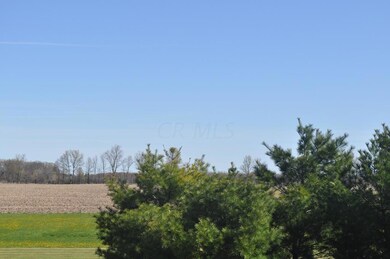 looking out back door 2