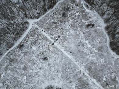 1965 Stringtown Rd, Shoal Creek Township, IL 62086 - photo 7