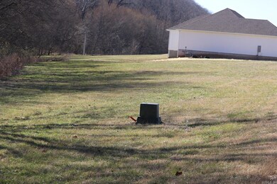 Lot 108 Cane Island Rd, Flippin, AR 72634 - photo 5