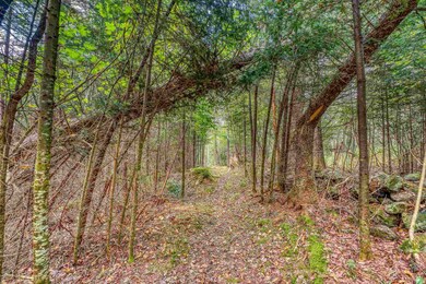 23 Labrador Run, Jefferson, NH 03583 - photo 5