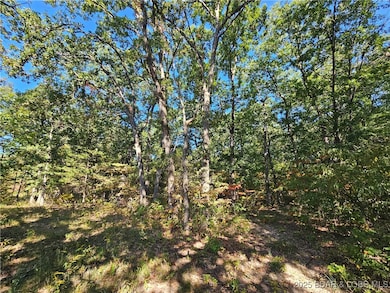 Tract D Beechnut Rd, Buffalo Township, MO 65078 - photo 6