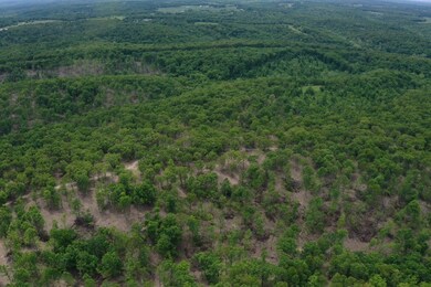 TBD Missouri 7, Roach, MO 65787 - photo 4