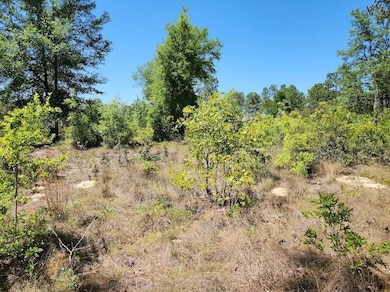 lot 5 SW 64th Ln, Ocala, FL 34481 - photo 3