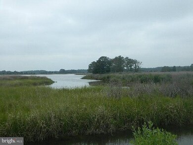 0 Toddville Rd unit 1001675997, Toddville, MD 21672 - photo 3