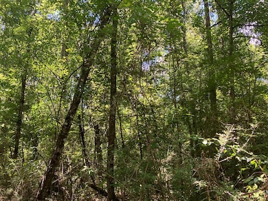 0 Mississippi 48, Tylertown, MS 39667 - photo 5