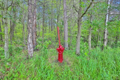 374xx-N40 Hemingway Ave, North Branch, MN 55056 - photo 5