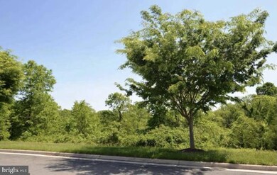 25321 Crossfield Dr, Chantilly, VA 20152 - photo 3