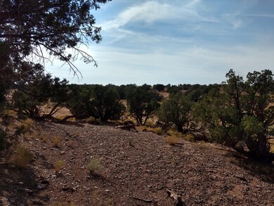 IMG_20201008_143856316_HDR